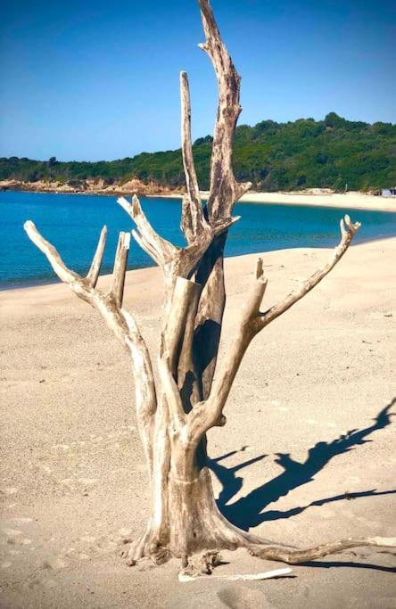Villa Proche Ajaccio Et Mer Exclusive 2 A 10 Voyageurs Bastelicaccia Exterior foto